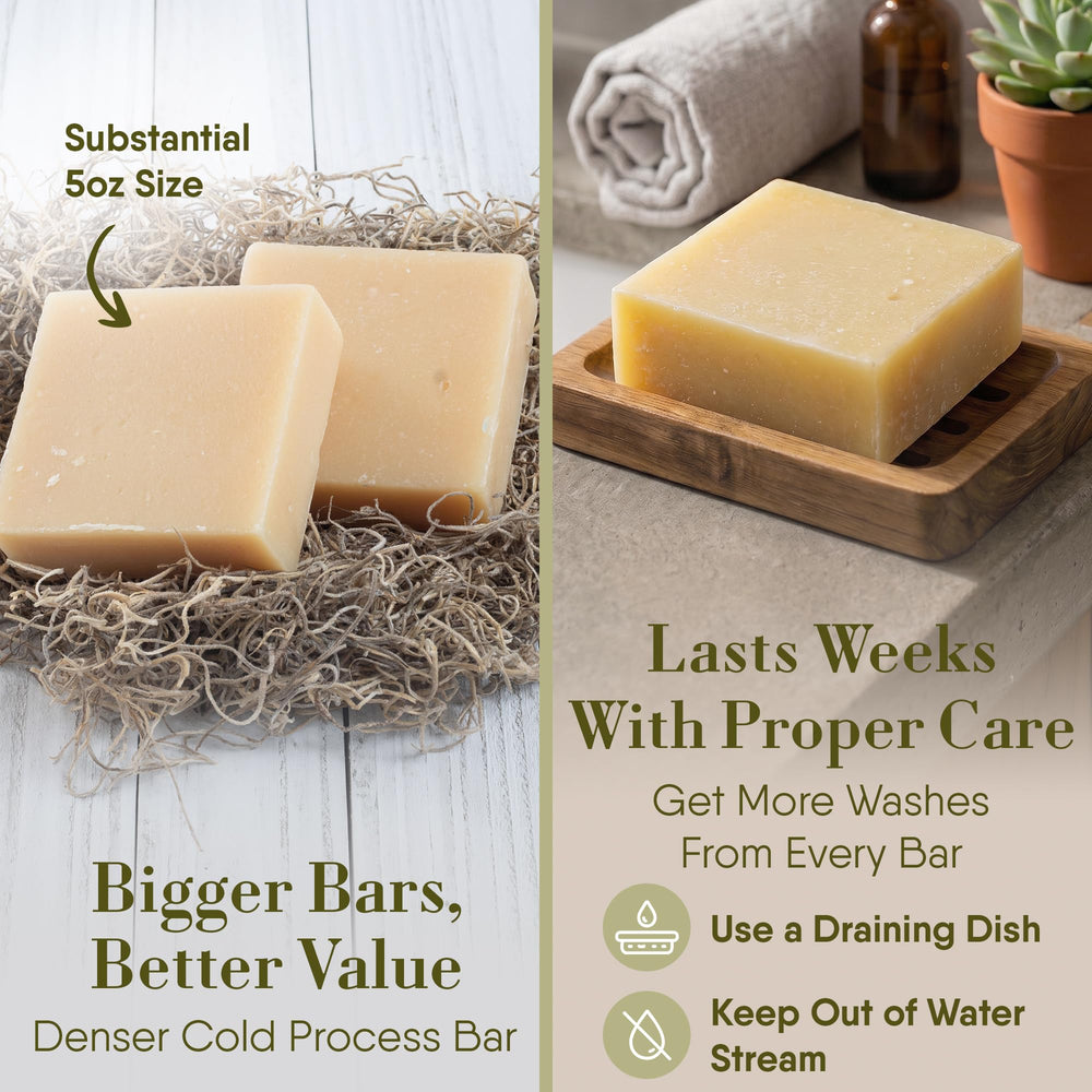 360Feel bay rum soap with raw oils flatlay showing natural ingredient benefits