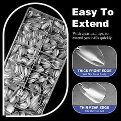AddFavor close-up of tip edge highlighting thin cuticle area for natural blend