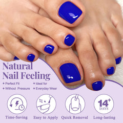 AddFavor layout of 12 sizes, helps pick the right toe fit quickly