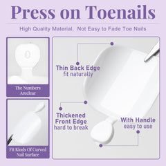 AddFavor numbered toe tips laid out to show 12 sizes for perfect fit