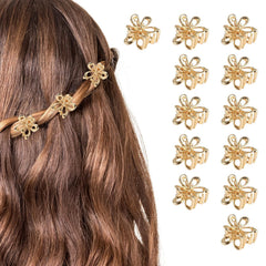 Aesnoun front packaging showing 12 gold flower clips and set benefit
