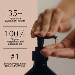 Aesop lather texture close-up, shows gentle foaming and moisturizing feel