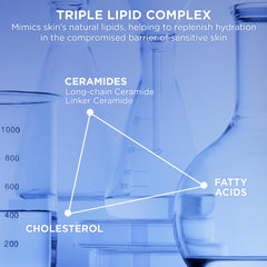 AESTURA ingredient visual with ceramides highlighted for barrier support