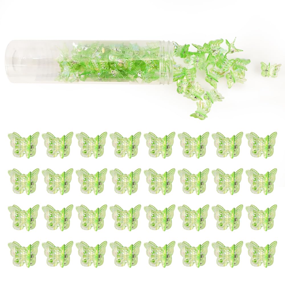 AHONEY clear box storage keeping clips protected and neatly organized