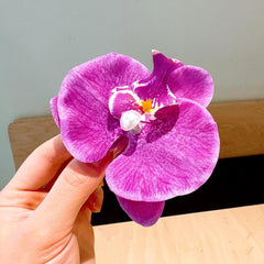 ALIMITOPIA clip in hair side profile demonstrating wearable decorative benefit