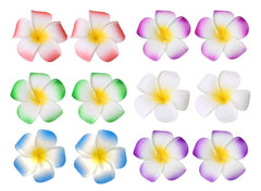 ALIMITOPIA front packaging showing 12 plumeria clips and benefits of neat storage