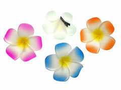 ALIMITOPIA plumeria beside hand showing medium size and travel-friendly scale