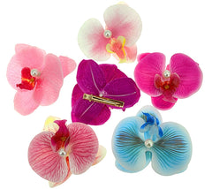 ALIMITOPIA six-color set arranged to show variety and outfit coordination