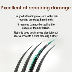 Alps Goodness before and after hair showing improved shine and manageability