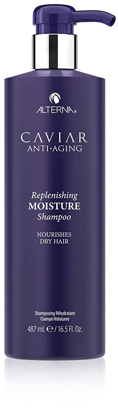 Alterna bottle pump and cap detail, highlights easy dispensing and travel readiness