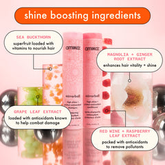 amika Mirrorball applied in a salon setting showing professional use and visible shine