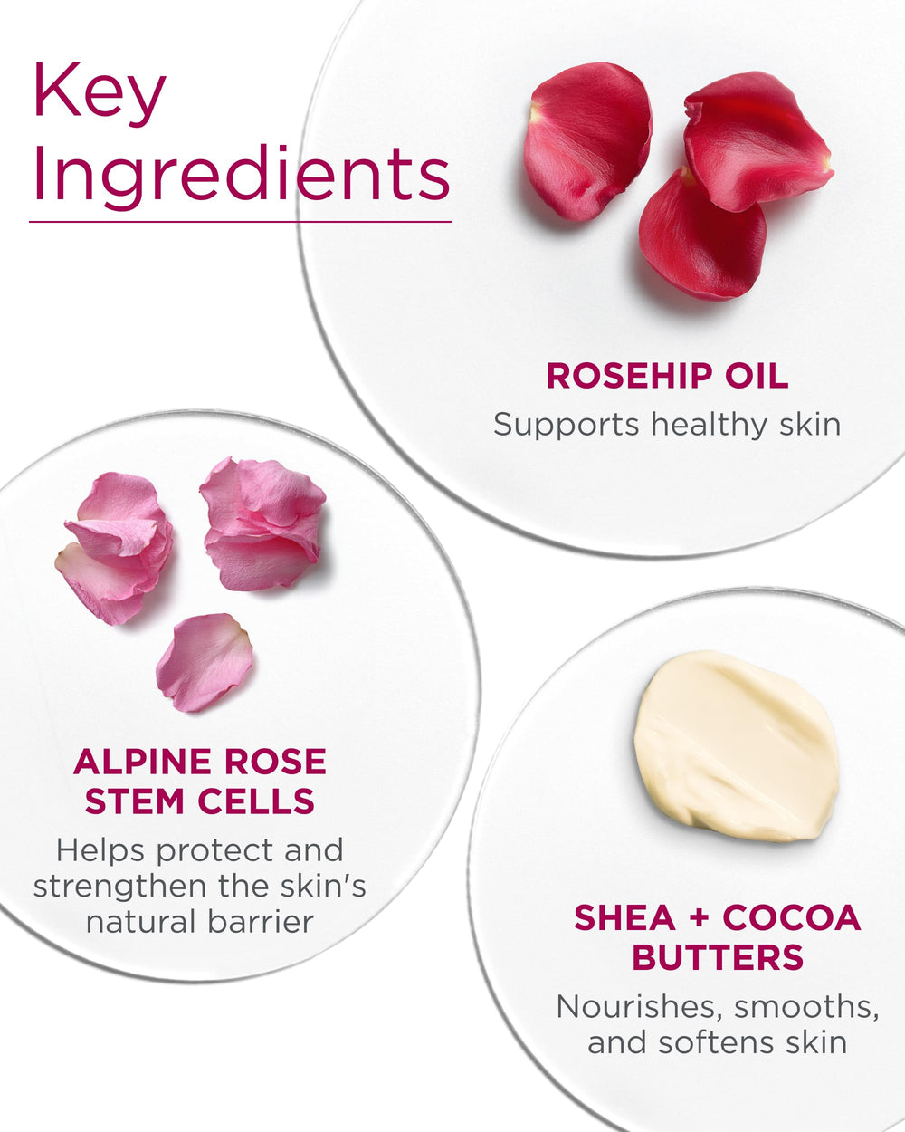 Andalou Naturals rosehip and argan oils highlighting nourishing ingredient benefits