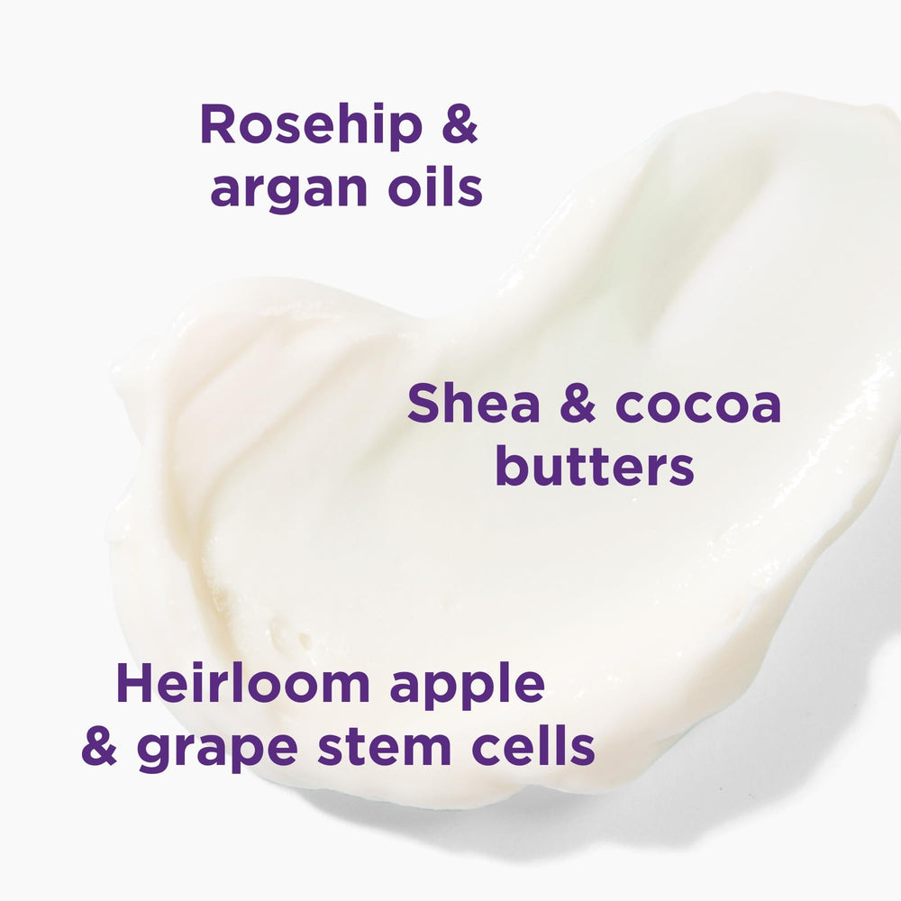 Andalou Naturals lavender sprig close-up, botanical scent soothes and relaxes
