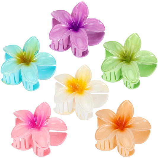 ANEESAA front packaging showing six colorful flower claw clips and vibrant assortment
