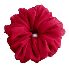 AnnushkaHomeDecor scrunchie in ponytail adds volume and polish