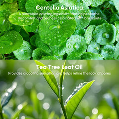 AOPEIBOTO Centella Asiatica and tea tree ingredient focus for soothing