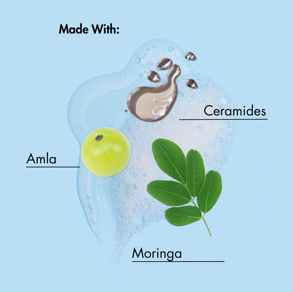 As I Am ingredients moringa amla and ceramides displayed to show nourishment