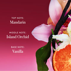 Athena Club close-up of niacinamide and vitamin complex highlighting skin benefits