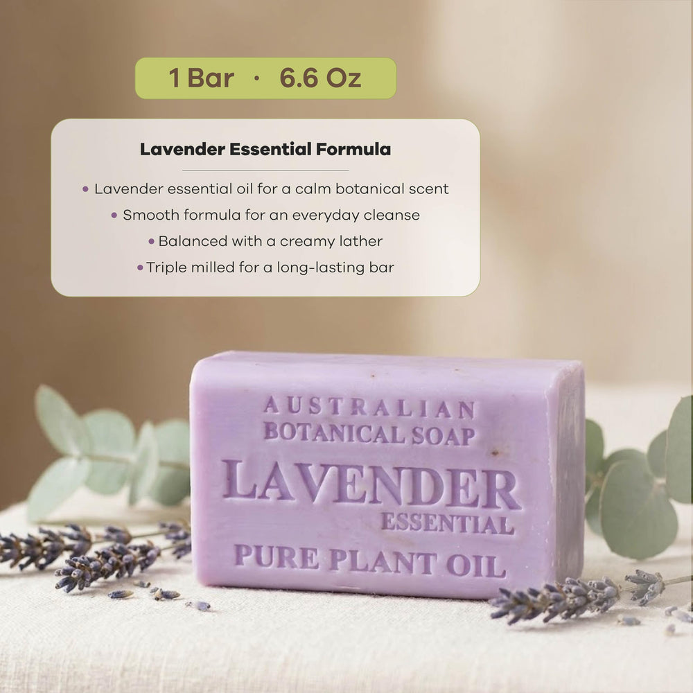 Australian Botanical Soap lavender rich lather close-up for creamy wash benefit