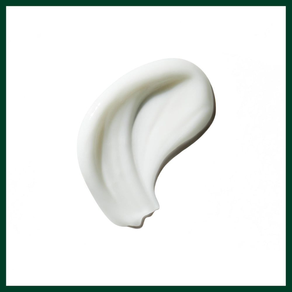 Kokum seed butter and plant peptide ingredients near Aveda Be Curly, signals conditioning benefit