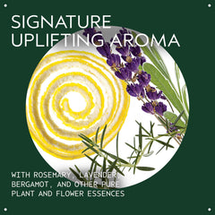 Aveda Beautifying Composition Oil texture close-up illustrating lightweight absorption