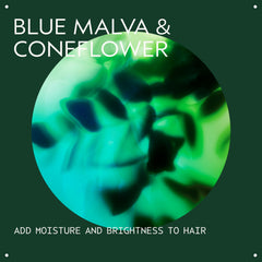 Aveda Blue Malva bottle held in hand to show true size and travel-friendly portability