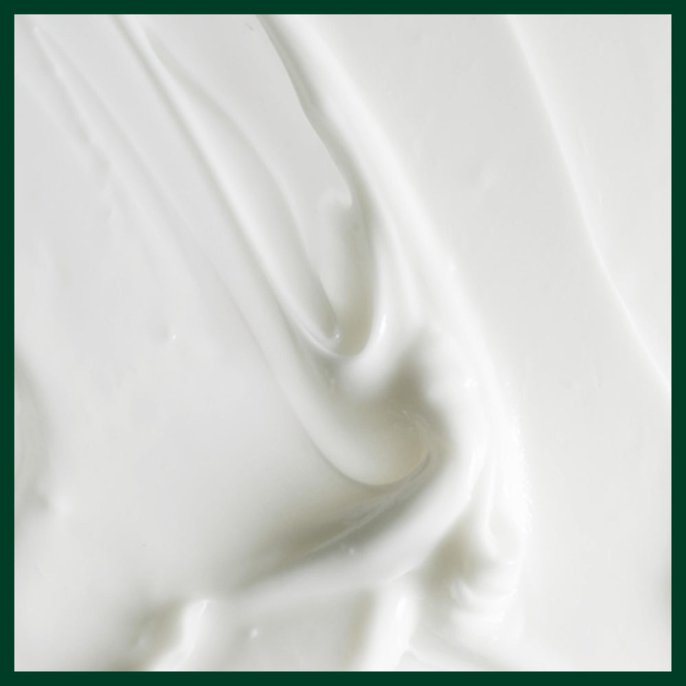 Aveda conditioner on shower shelf suggesting daily use convenience
