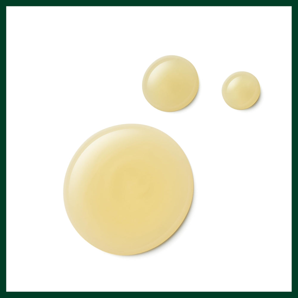 Aveda shampoo with conditioner showing paired repair benefits