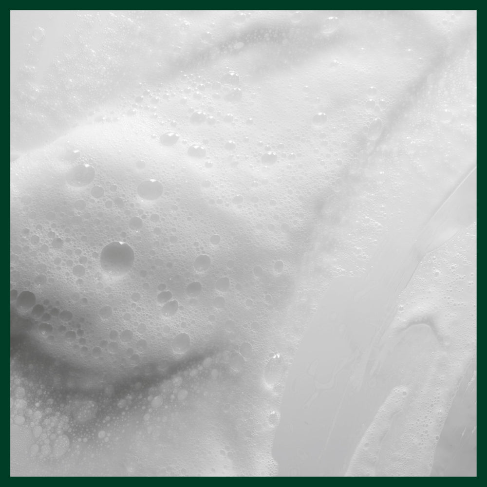 Close view of Aveda ingredient panel emphasizing naturally derived formulation benefit