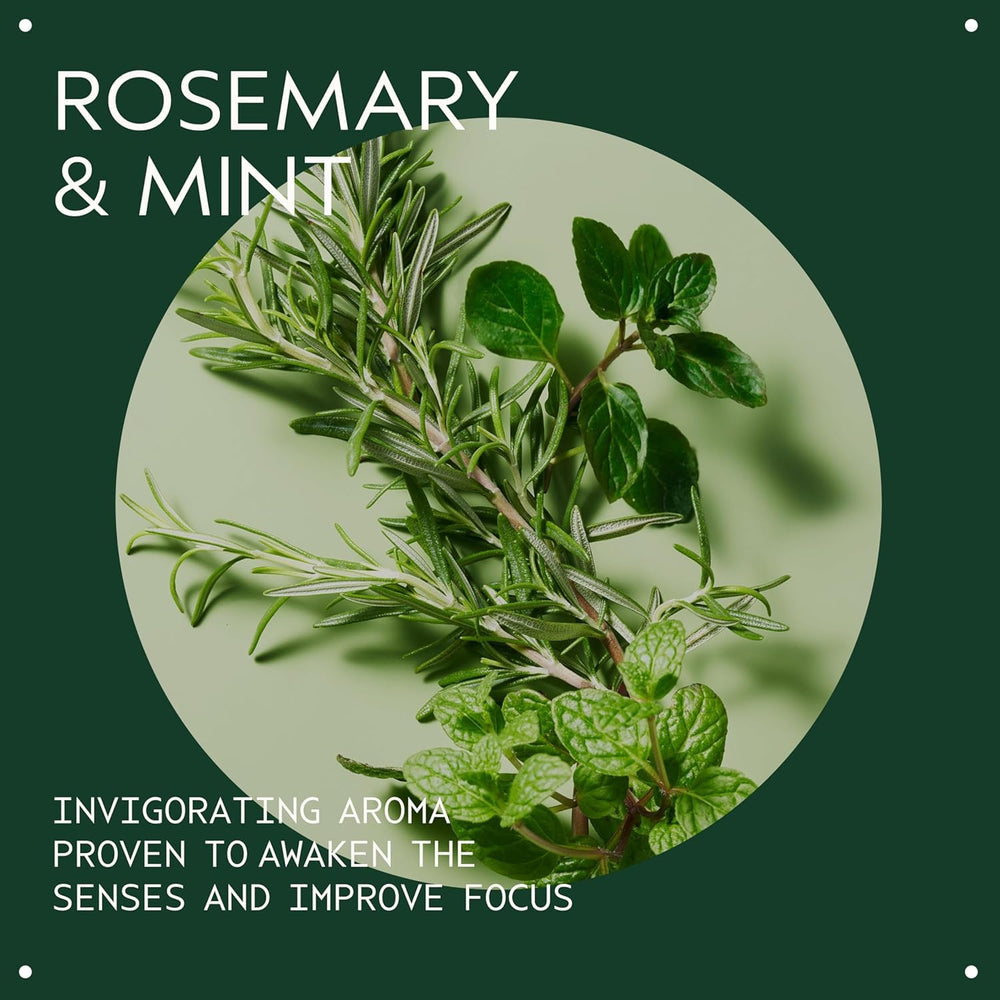 Aveda lathered shampoo foam demonstrating effective gentle cleansing
