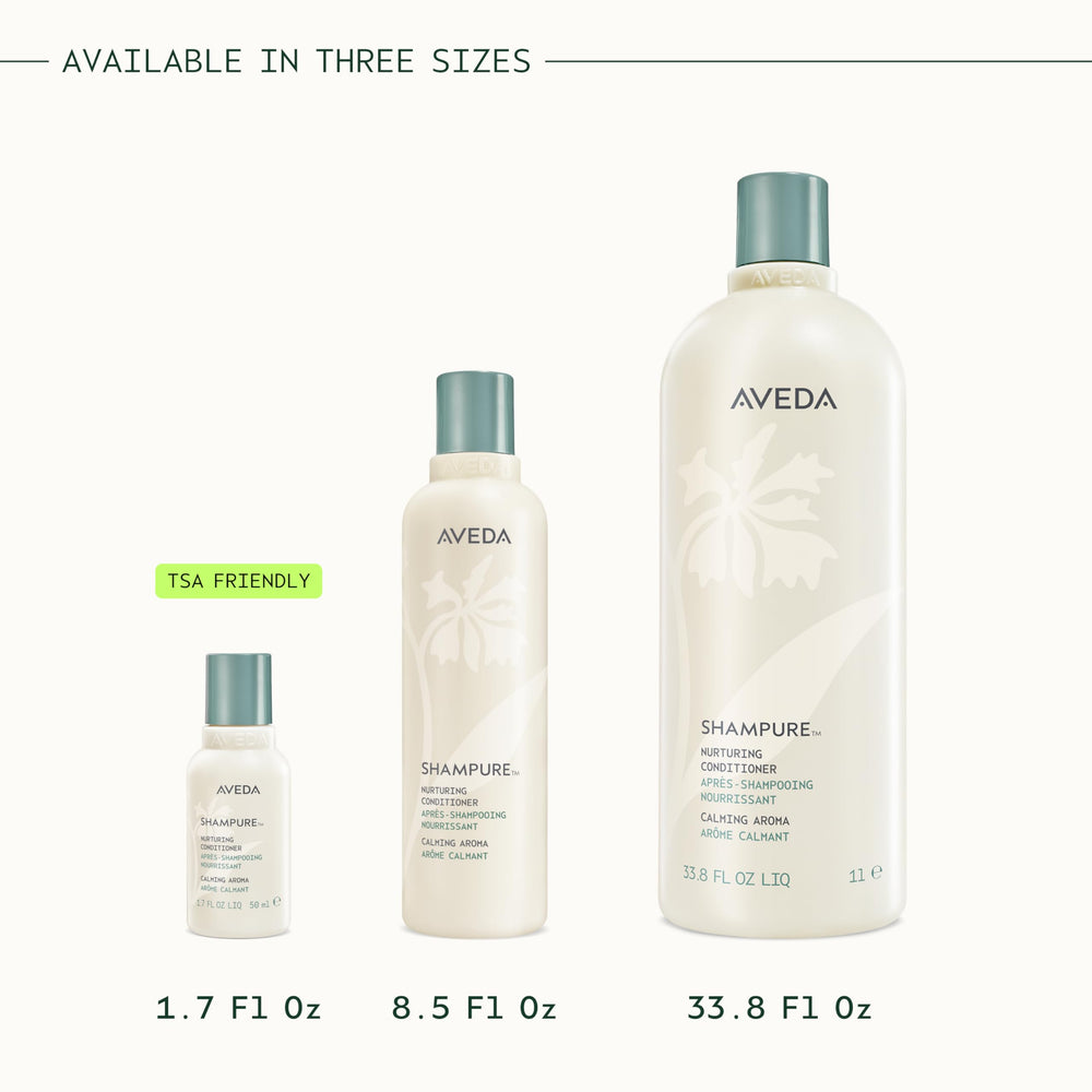 Aveda Shampure with abyssinian oil visual showing lightweight nourishment