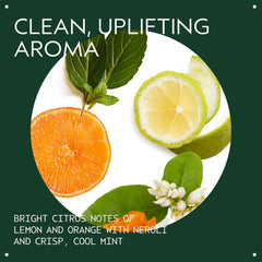 Aveda creamy conditioner texture close-up showing lightweight hydration