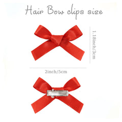 Ayesha alligator clip detail with no-slip grip for secure hold in fine hair