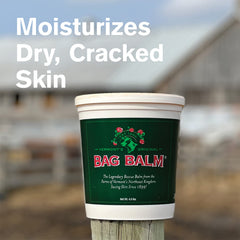 Close-up texture of Bag Balm ointment showing creamy balm for deep moisturization