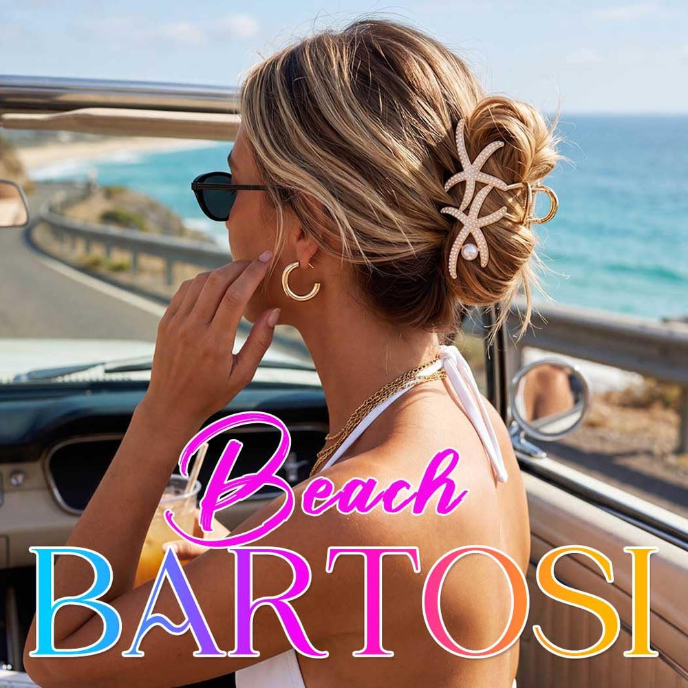 BARTOSI pack of two clips in gift presentation ideal for gifting and storage