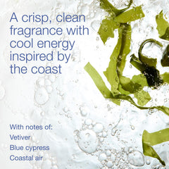 Bath & Body Works body wash pouring texture that shows easy rinsing and refreshing feel