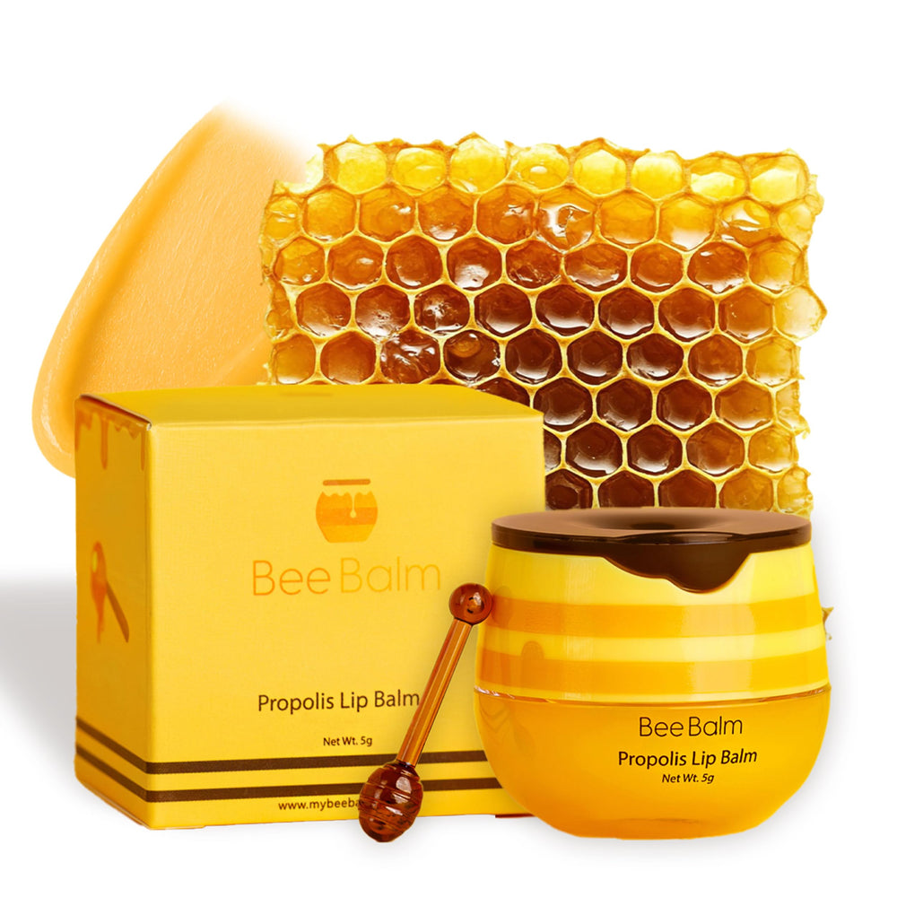 Bee Balm honey pot front view showing compact packaging and immediate hydration