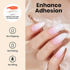 beetles gel base curing in LED lamp illustrating fast, reliable polymerization