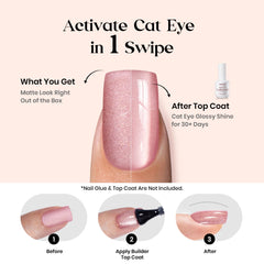 beetles close-up cat eye shimmer detail highlighting reflective band