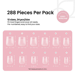 beetles display of 12 sizes arranged for precise fitting per finger