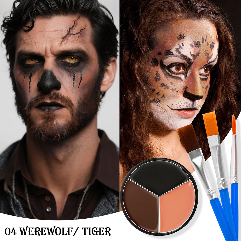 BEFIVECOK brushes and sponges arranged to show included tools and simplified application