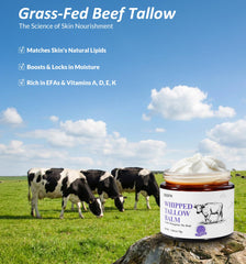 BGDFR open jar with small spoon illustrating hygienic application and no digging