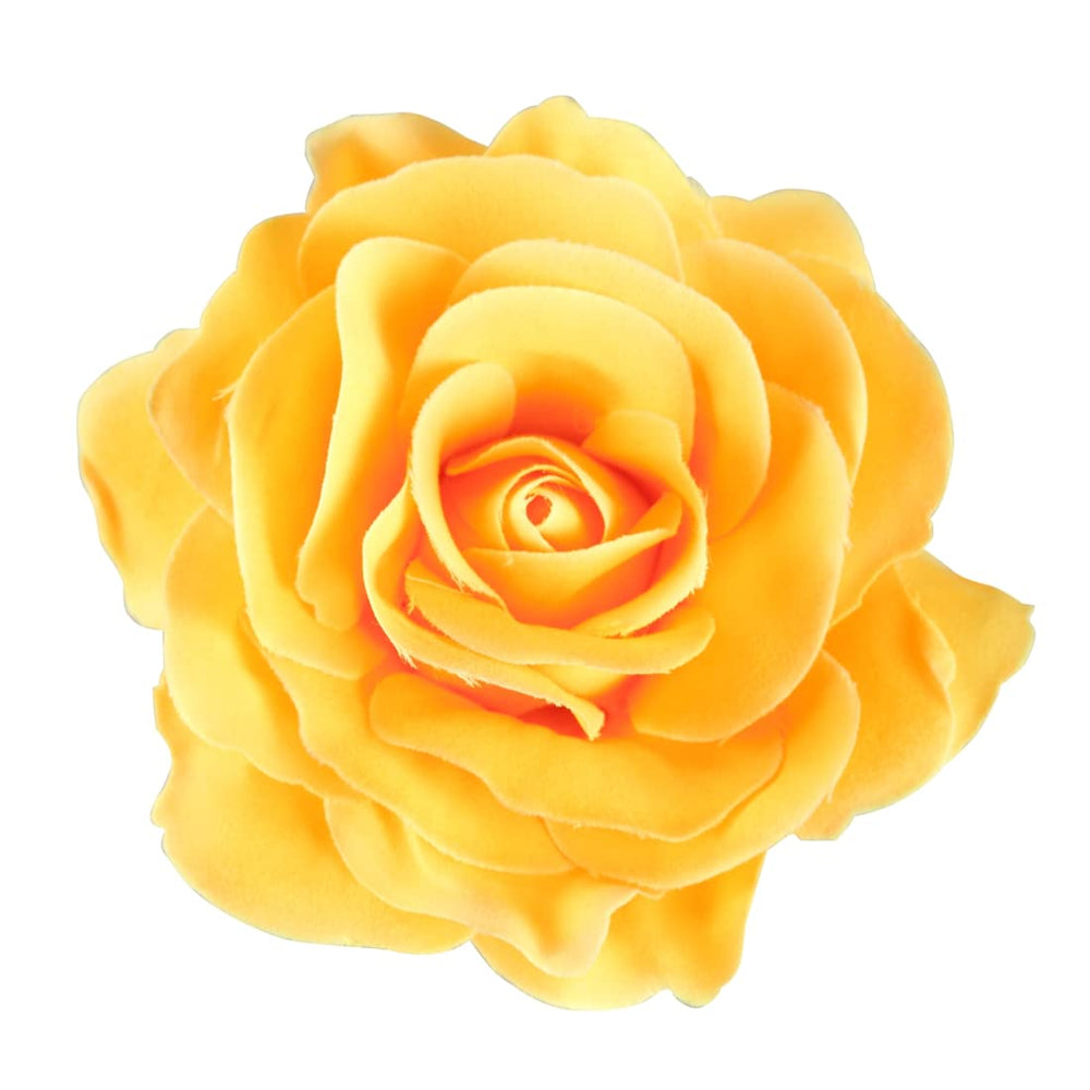 BinaryABC yellow rose front view showing cheerful summer accent
