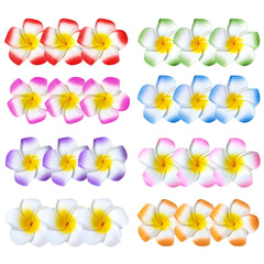 BluOcnMkt front pack view showing 24 colorful plumeria clips and convenience