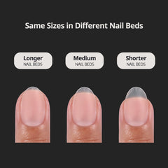 BTArtboxnails 16 sizes laid out to show selection for perfect fit