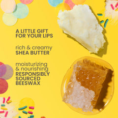 Burt's Bees four tubes arranged flatlay illustrating flavor variety and portability