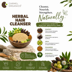 CARMEL ORGANICS powder held in palm to demonstrate 8 ounce size and single-use portioning