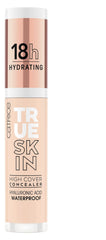 Catrice True Skin applicator and cap displayed for precise, mess-free application