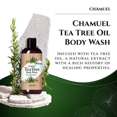 Chamuel pump dispensing rich lather for efficient concentrated use