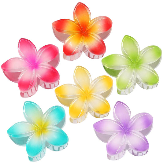 CHANDAT front view of six colorful flower clips showing vibrant gradient finish and shape benefit